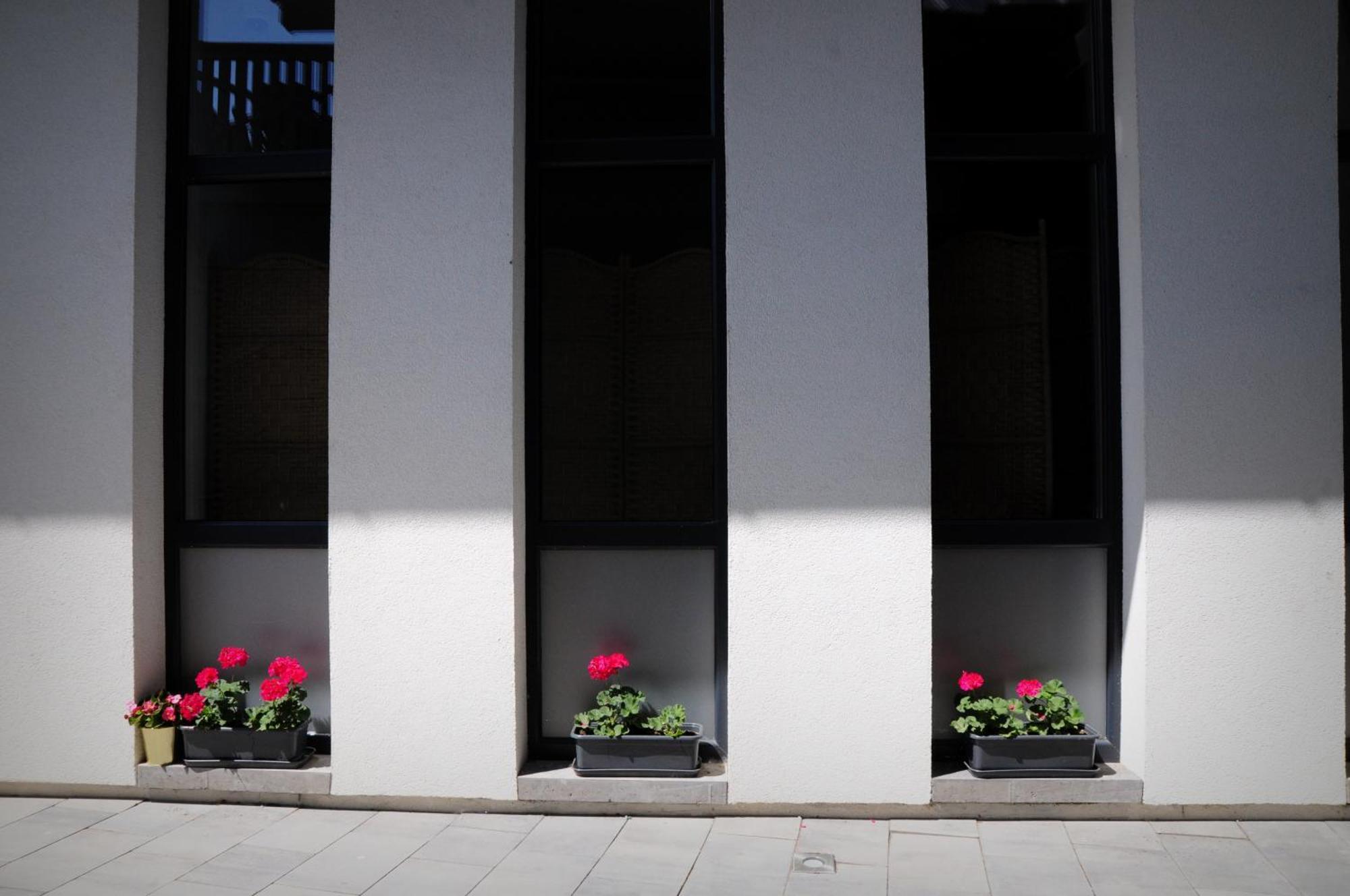 Bed and breakfast Czarna Dama *